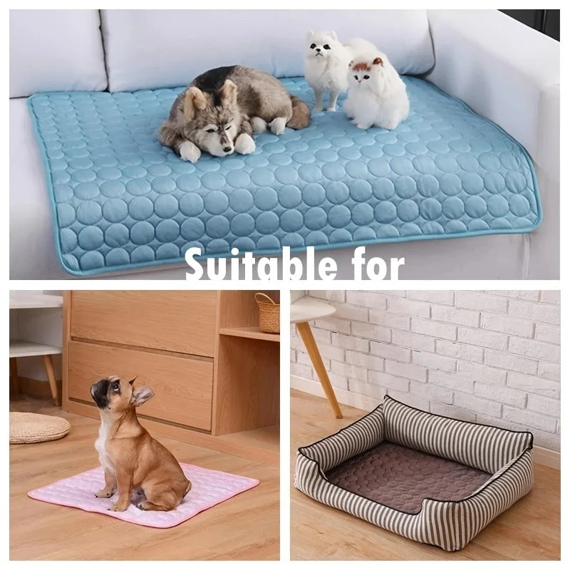Hunde Kühlmatte - Gönne deinem Hund eine Abkühlung