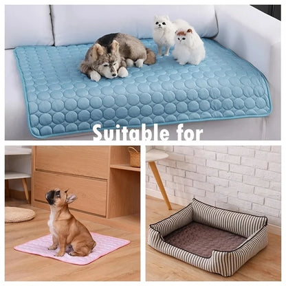 Hunde Kühlmatte - Gönne deinem Hund eine Abkühlung