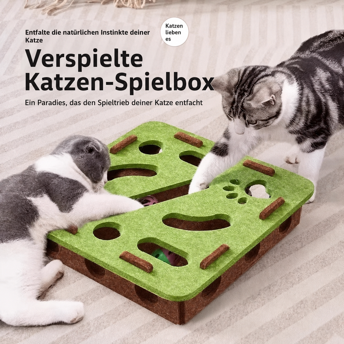Katzen Spielbox - Perfekte Beschäftigung für dein Tier