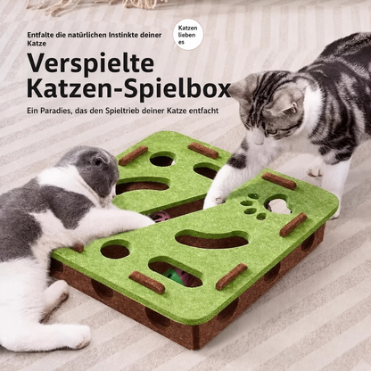 Katzen Spielbox - Perfekte Beschäftigung für dein Tier