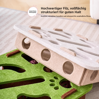 Katzen Spielbox - Perfekte Beschäftigung für dein Tier