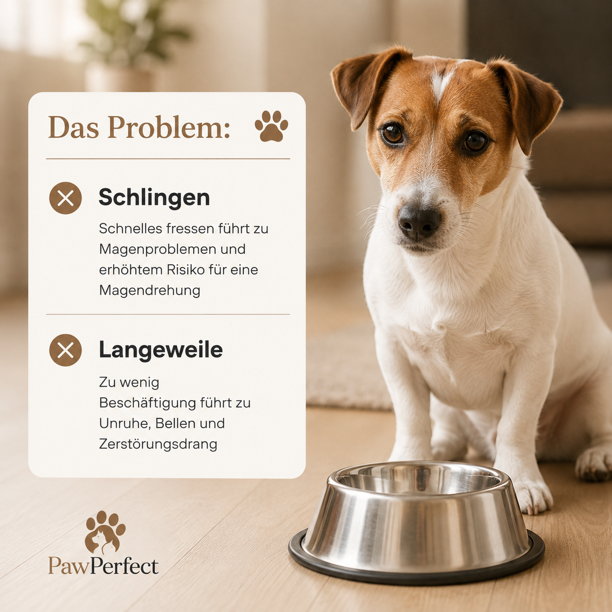 SlowPaw – Anti-Schling-Napf