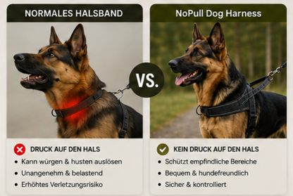 NoPull Dog Harness