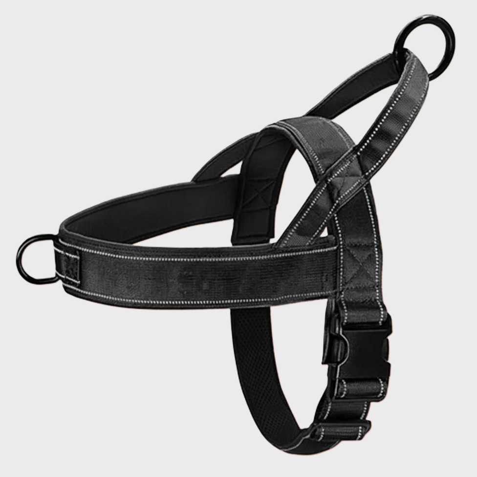 NoPull Dog Harness