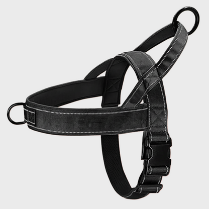 NoPull Dog Harness