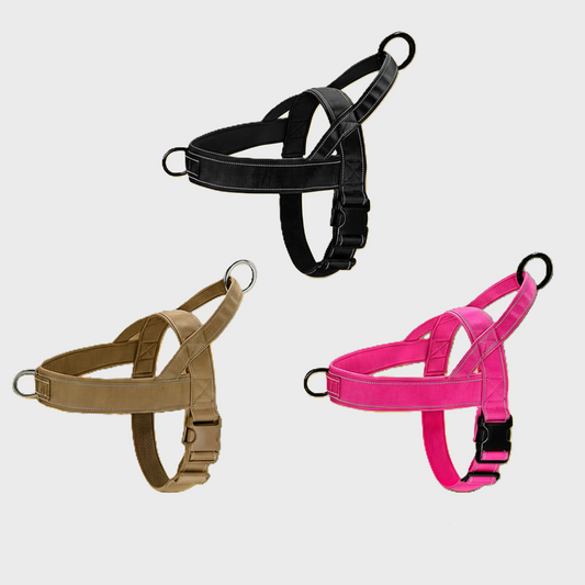 NoPull Dog Harness